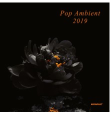 Various Artists - Pop Ambient 2019