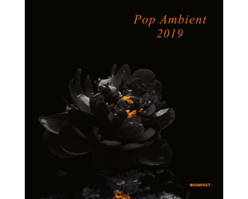 Various Artists - Pop Ambient 2019