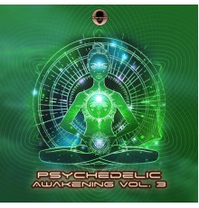 Various Artists - Psychedelic Awakening, Vol. 3