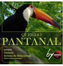 Various Artists - Querido Pantanal