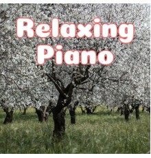 Various Artists - Relaxing Piano