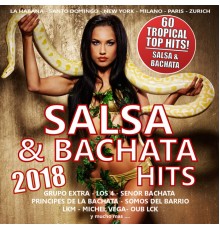 Various Artists - SALSA & BACHATA HITS 2018 (60 Tropical Top Hits)