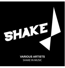 Various Artists - Shake In Music