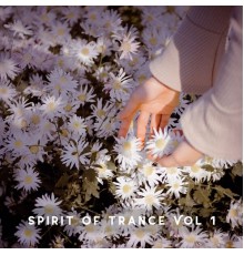 Various Artists - Spirit of Trance, Vol. 1