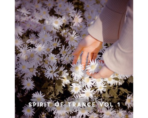 Various Artists - Spirit of Trance, Vol. 1 Various Artists - Spirit of Trance, Vol. 1