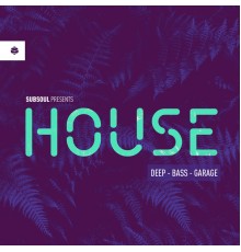 Various Artists - SubSoul presents: House