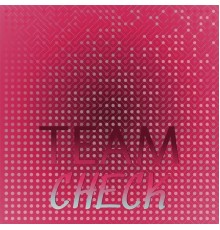 Various Artists - Team Check