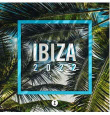 Various Artists - Toolroom Ibiza 2022