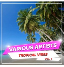 Various Artists - Tropical Vibes, Vol. 1
