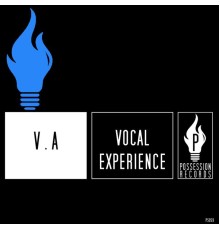 Various Artists - Vocal Experience