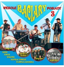 Various Artists - Wesołe Posiady 3