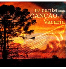 Various Artists - 12º Cante uma Canção em Vacaria