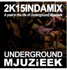 Various Artists - 2K15INDAMIX