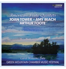 Various Artists - American Flute Quintets