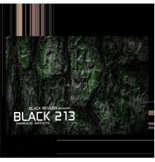 Various Artists - Black 213