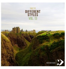 Various Artists - Different Styles Vol.13