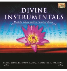 Various Artists - Divine Instrumentals