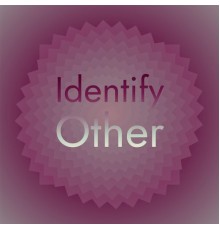 Various Artists - Identify Other