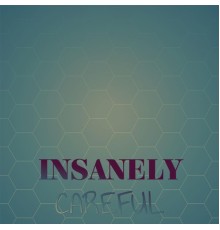 Various Artists - Insanely Careful