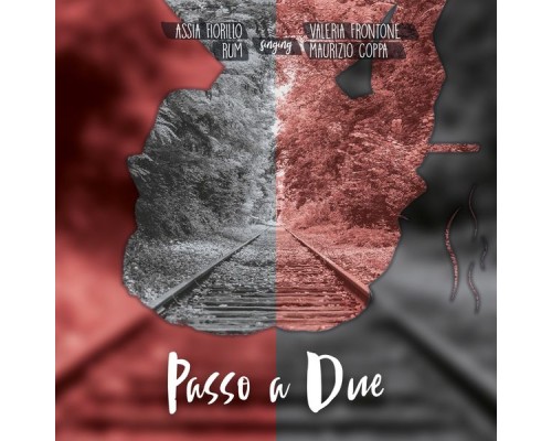 Various Artists - Passo a due