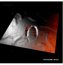 Various Artists - Posthuman Music