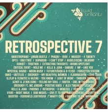 Various Artists - Retrospective 7