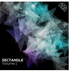 Various Artists - Sectangle