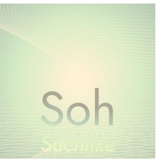 Various Artists - Soh Suchlike