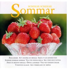 Various Artists - Sommar, sommar, sommar