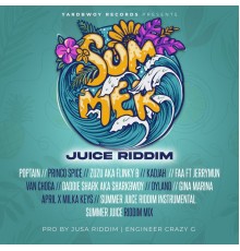 Various Artists - Summer Juice Riddim