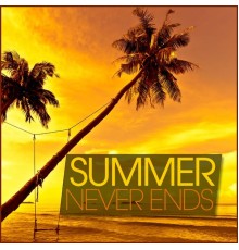 Various Artists - Summer Never Ends