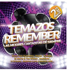 Various Artists - Temazos Remember