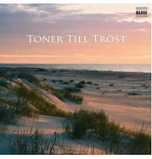 Various Artists - Toner till tröst