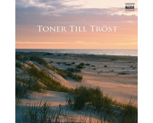 Various Artists - Toner till tröst