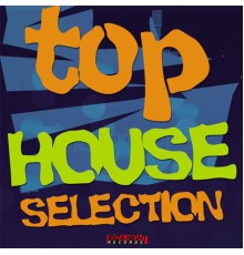 Various Artists - Top House Selection