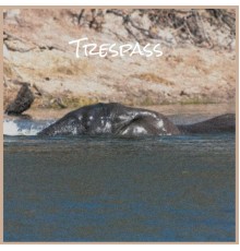 Various Artists - Trespass