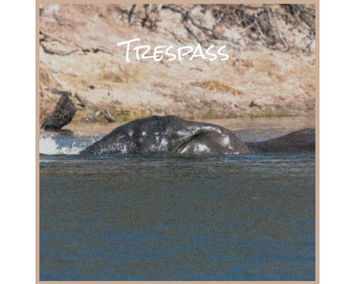 Various Artists - Trespass