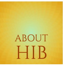 Various Artists - About Hib