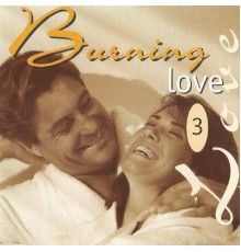 Various Artists - Burning Love 3