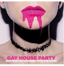 Various Artists - Gay House Party