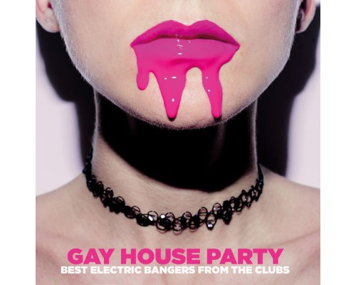 Various Artists - Gay House Party Various Artists - Gay House Party