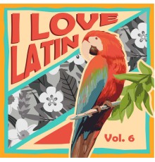 Various Artists - I Love Latin, Vol. 6