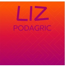 Various Artists - Liz Podagric