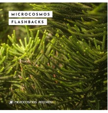 Various Artists - Microcosmos Flashbacks