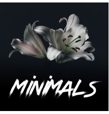 Various Artists - Minimals