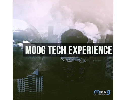 Various Artists - Moog Tech Experience