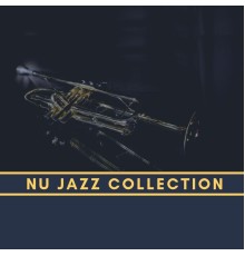 Various Artists - Nu Jazz Collection