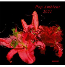 Various Artists - Pop Ambient 2021