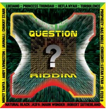 Various Artists - Question Riddim