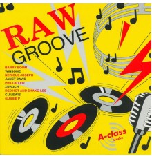 Various Artists - Raw Groove